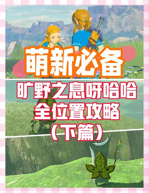《塞尔达传说:荒野之息》DLC2骑摩托车心得一览介绍_《塞尔达传说:荒野...
