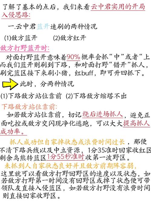 王者荣耀打野思路及技巧