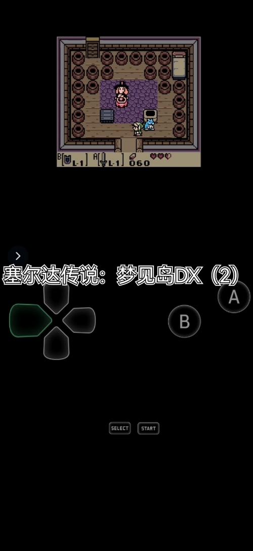 塞尔达传说织梦岛应该如何去搬动大象石像?