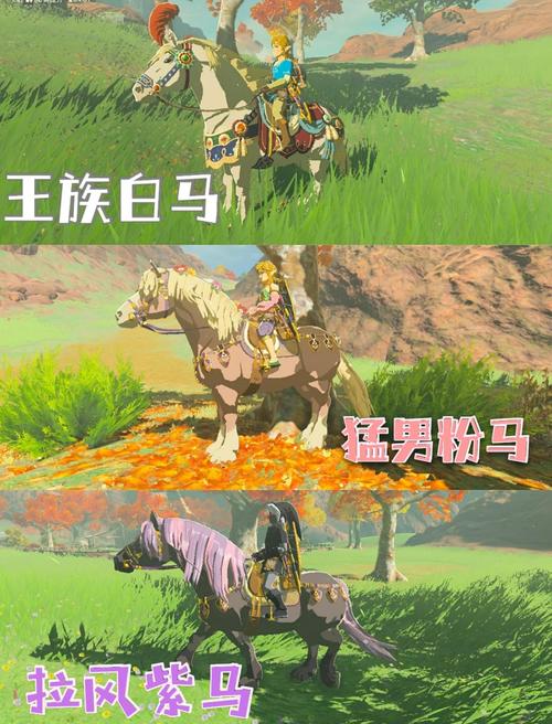 塞尔达传说荒野之息古代马具位置