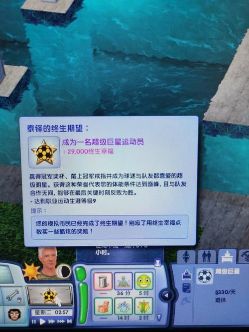模拟人生3用秘籍或超级电脑能提升职业等级么
