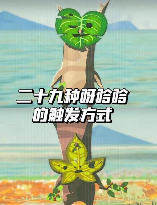 塞尔达怎么赚钱最快呀