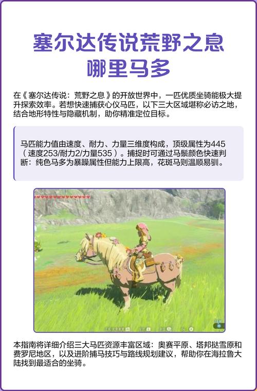 塞尔达传说荒野之息马匹推荐