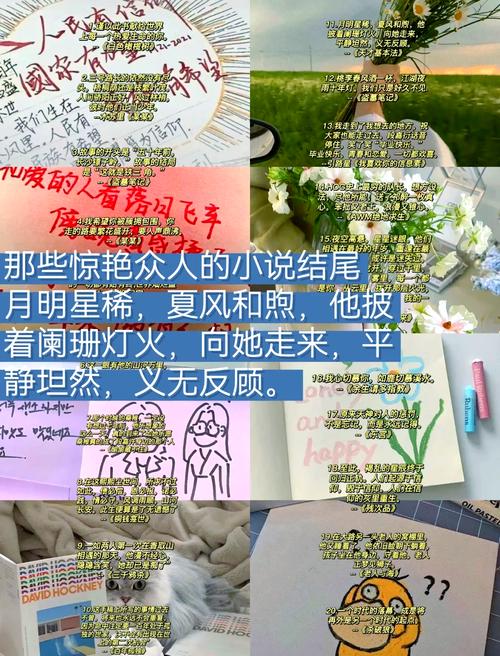 小说结局op是什么意思