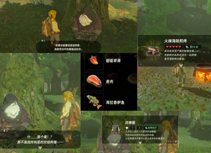 塞尔达传说:荒野之息老人的防寒服怎么解锁