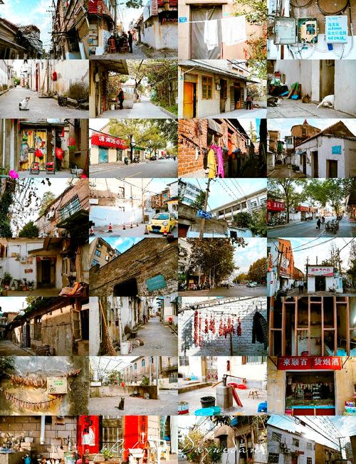 塞尔达照片里的记忆