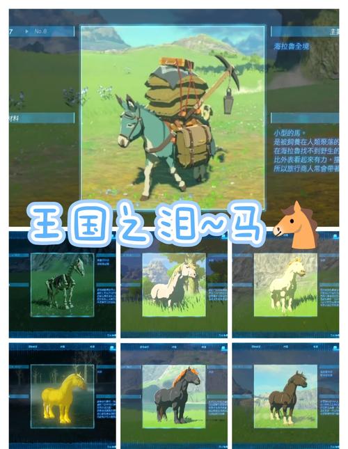 塞尔达传说时之笛3ds在野外怎么呼唤马,我吹一个马头标志一样的歌,马...