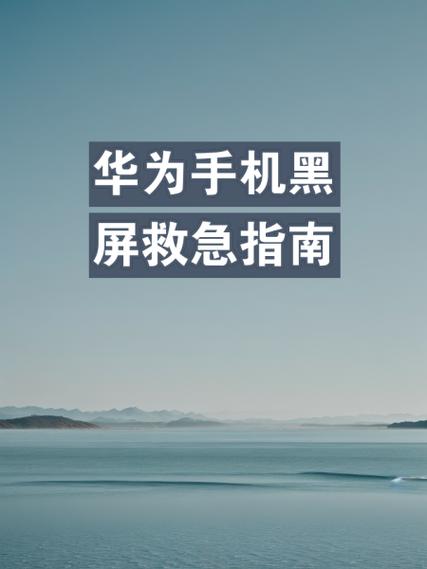 华为nova9SE怎么一开金铲铲之战金黑屏