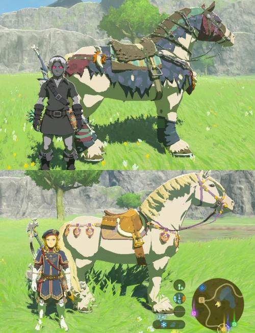 塞尔达怎么把马变成自己的登记马