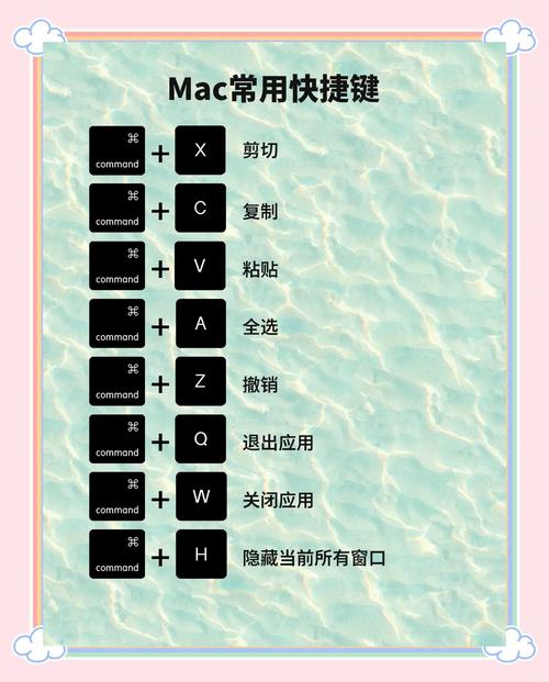 不背单词App快捷键(Mac版本)