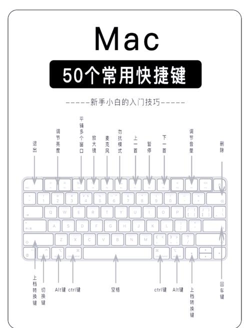 vscode快捷键(Mac版)
