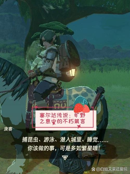 塞尔达睡觉加心的上限