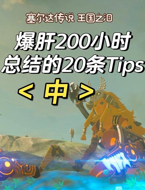 王国之泪1.4.2满心bug怎么用