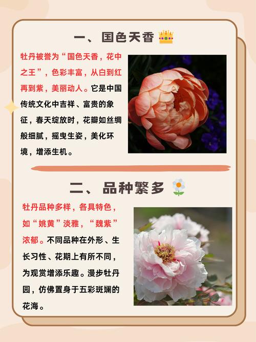 中国前十名花万花之王是什么