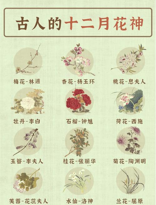 万花之王,花中君子,花中皇后,六月花神,花中西施,分别是什么花?