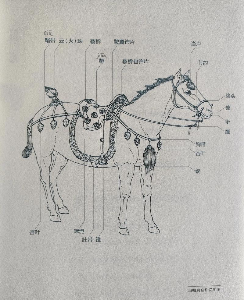 古代马具的谣传位置