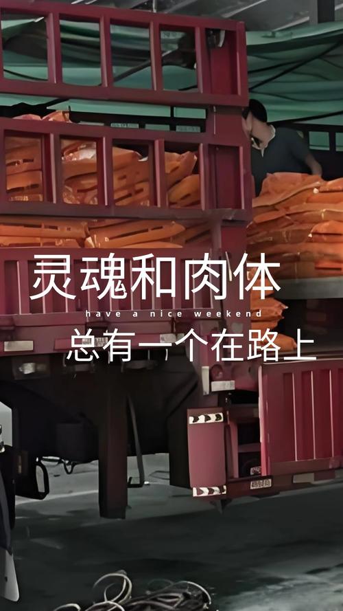 灵魂在身体的哪里