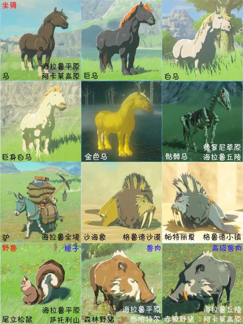 塞尔达传说荒野之息马匹推荐
