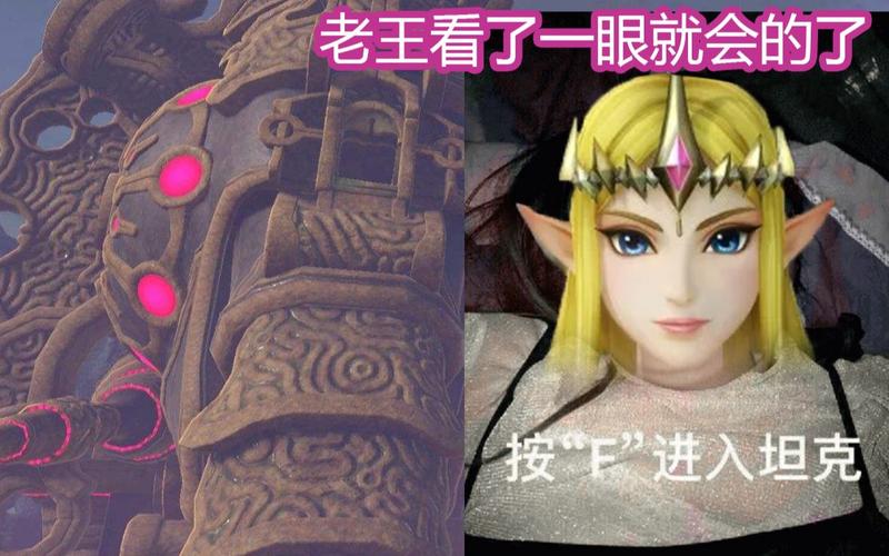 塞尔达传说荒野之息大象获得的技能如何使用?