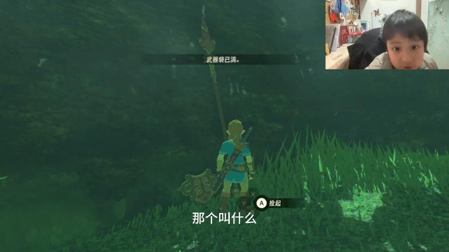 塞尔达传说mod文件叫什么