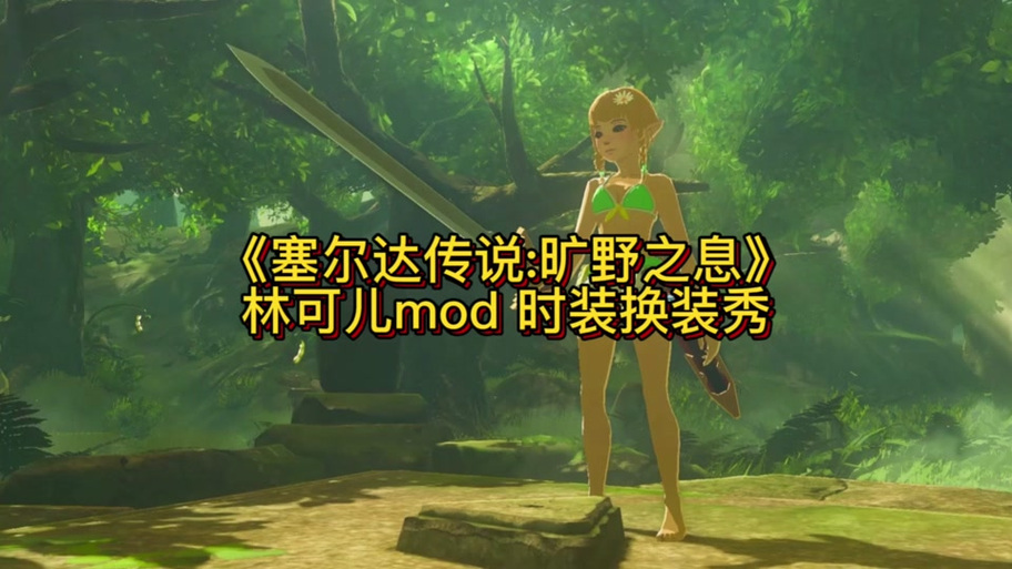 旷野之息林可儿模式