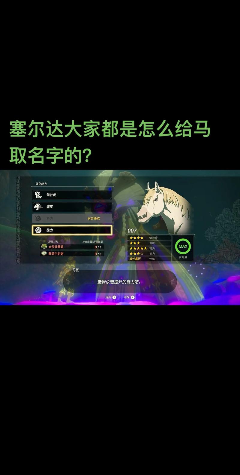 塞尔达马怎么改中文名