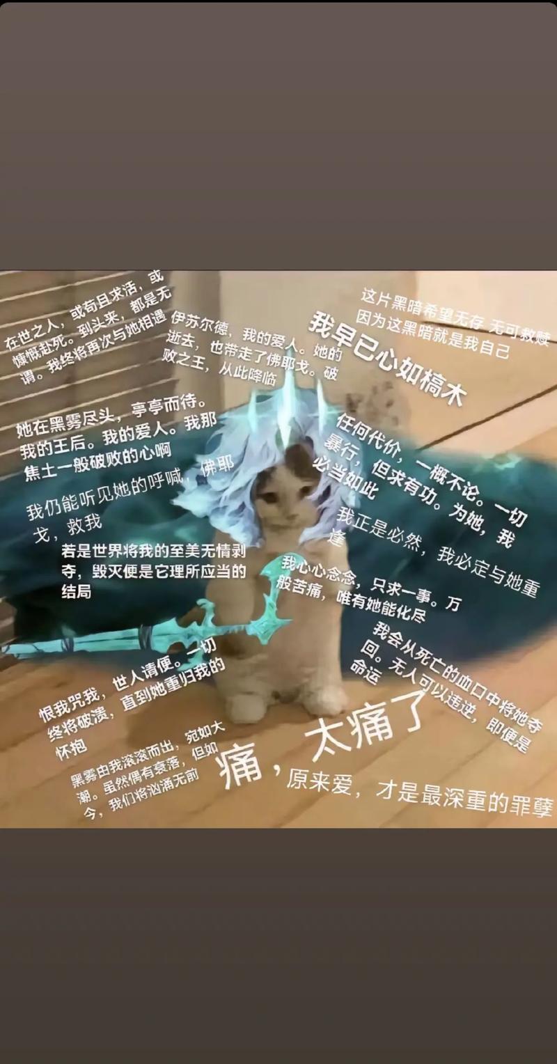 永失吾爱举目破败为啥不能用
