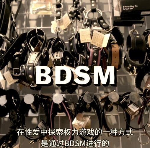dom是m还是s