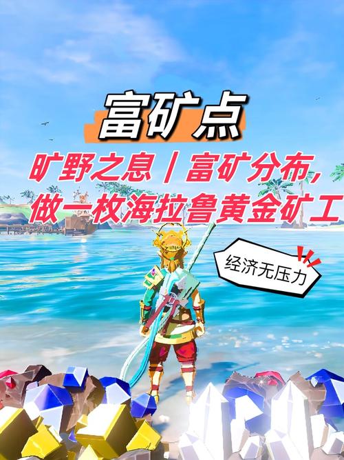 塞尔达传说荒野之息怎么赚钱