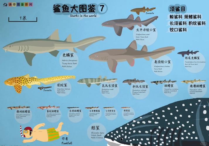 明日方舟:“歌蕾蒂娅”原型和元素考据,极速、巨槊和掠食者
