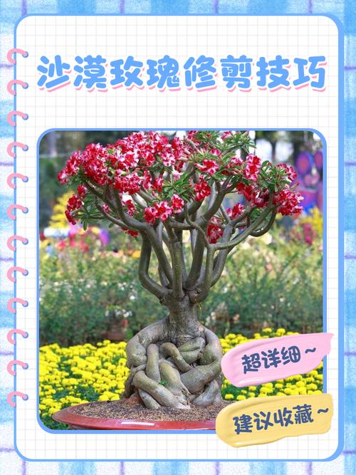lol新英雄沙漠玫瑰怎么玩更快触发大招
