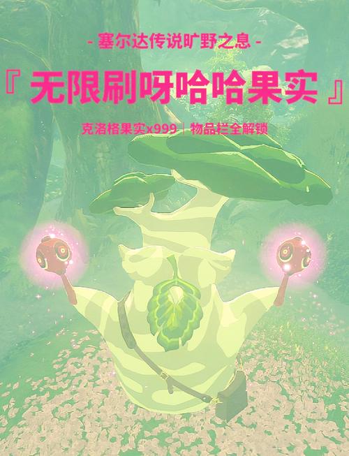 塞尔达城堡里的呀哈哈位置
