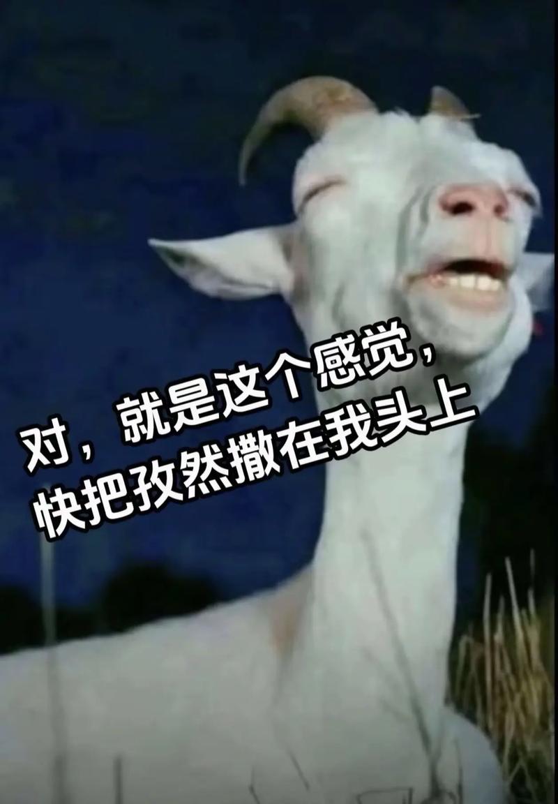 小象互娱旗下主播全名单