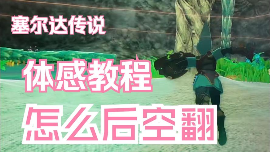 塞尔达传说衡跳怎么操作
