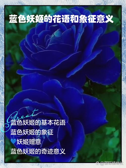 英雄联盟里,各个英雄分属什么阵营?