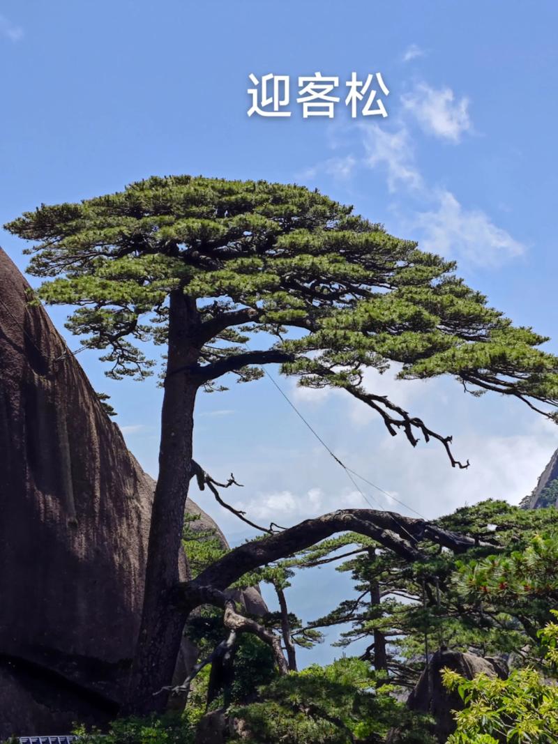 塞尔达传说雪山的日志_荒野之息雪山日记神庙解锁方法介绍