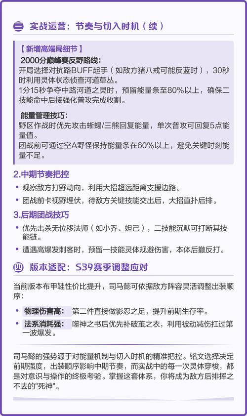 王者荣耀司马懿伤害比较高出装是啥?铭文搭配推荐?