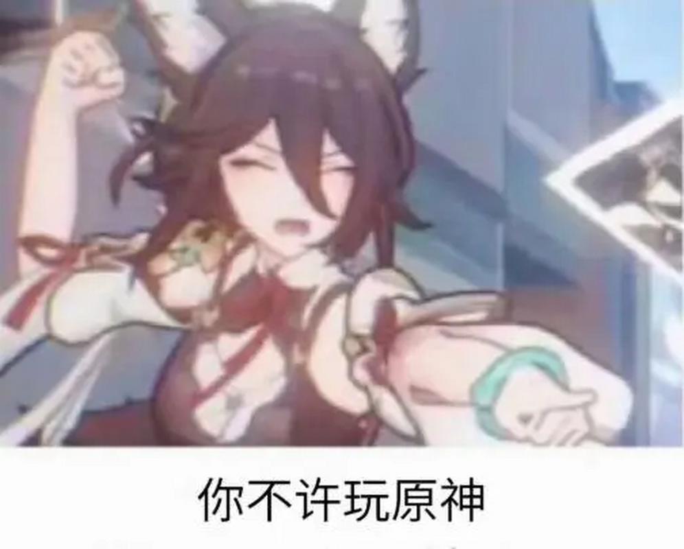 你玩不玩原神是什么意思