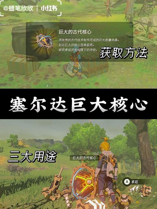 塞尔达传说荒野之息宝箱种类大全_塞尔达传说荒野之息宝箱有哪些