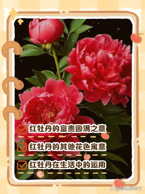 原神枫丹主线剧情详解