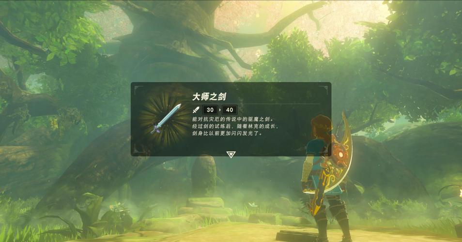 塞尔达传说荒野之息的大师之剑坏了吗