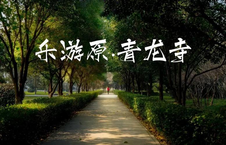 螃蟹游戏服务网是干嘛的