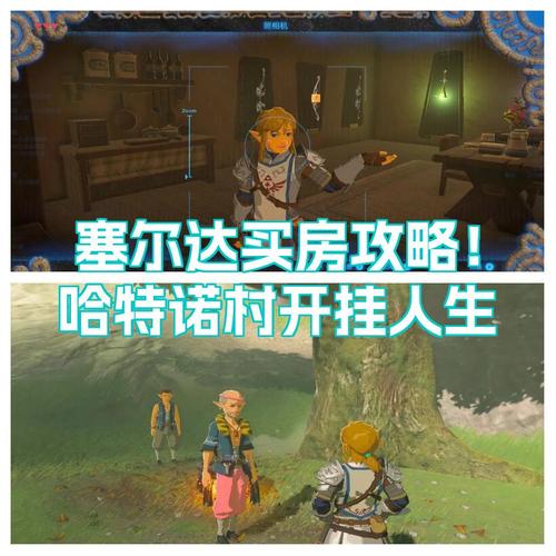 塞尔达哈特诺村在哪买房子