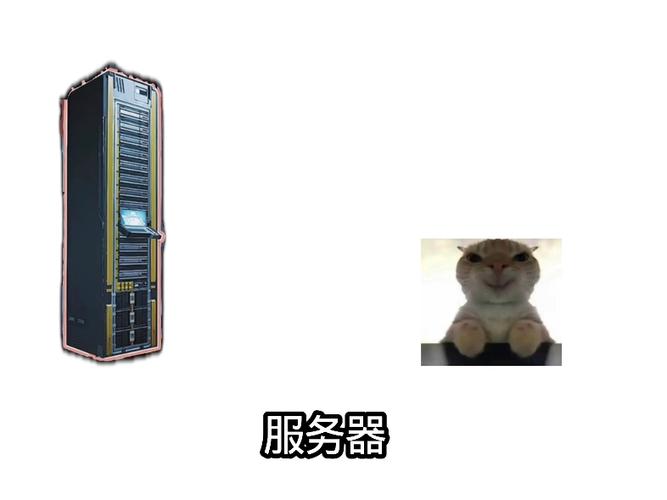 明日方舟有哪些服务器