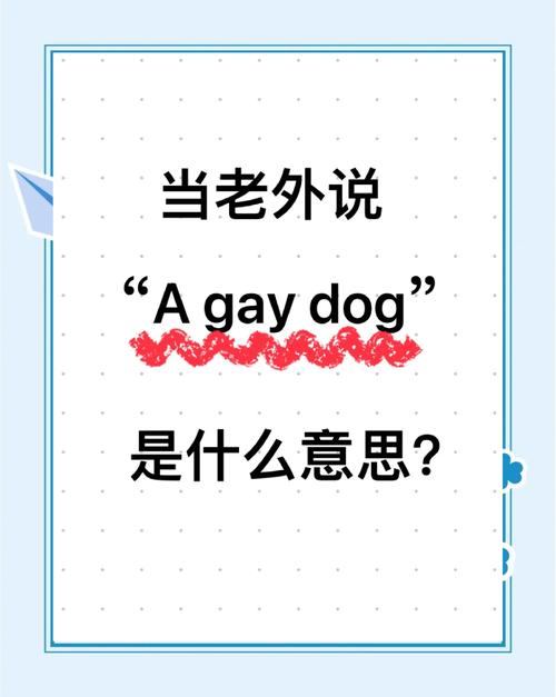 hiphop翻译成中文是什么意思