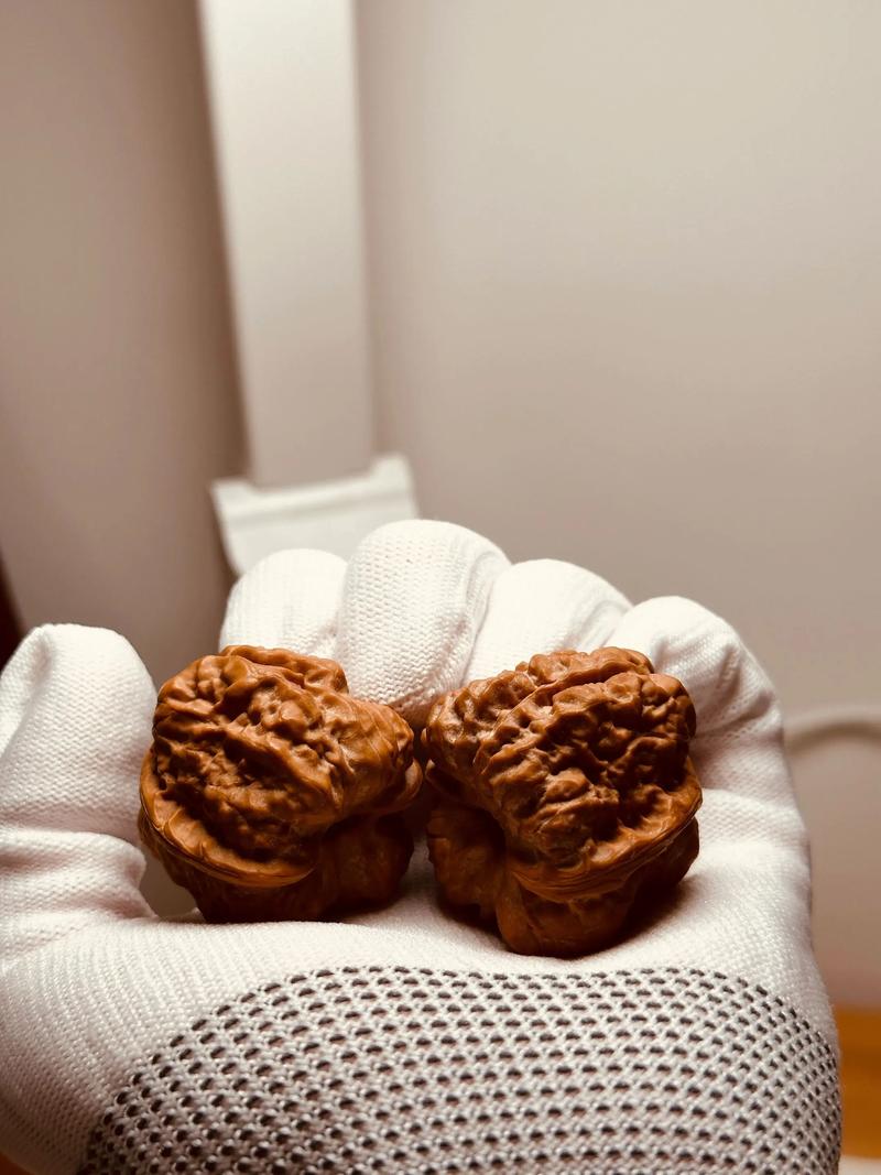 40的恶蟾蛤蟆头多少