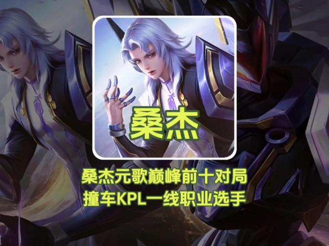 桑杰以前打过职业吗