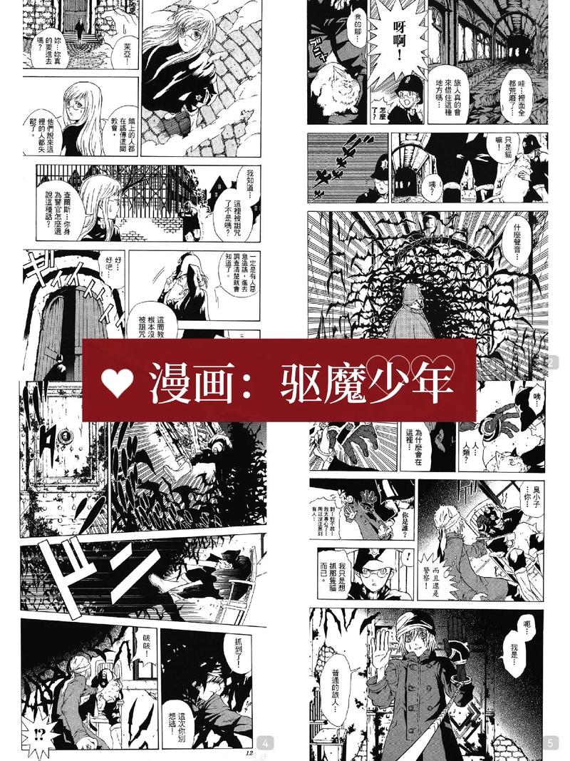 关于星野桂和驱魔少年的问题。