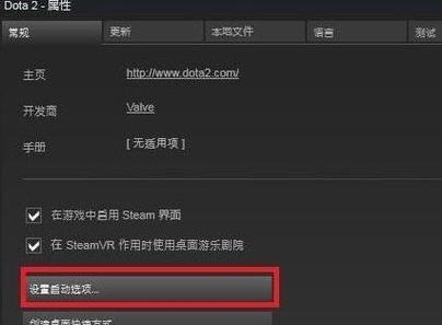 刀塔2国服启动项详解:设置与优化指南