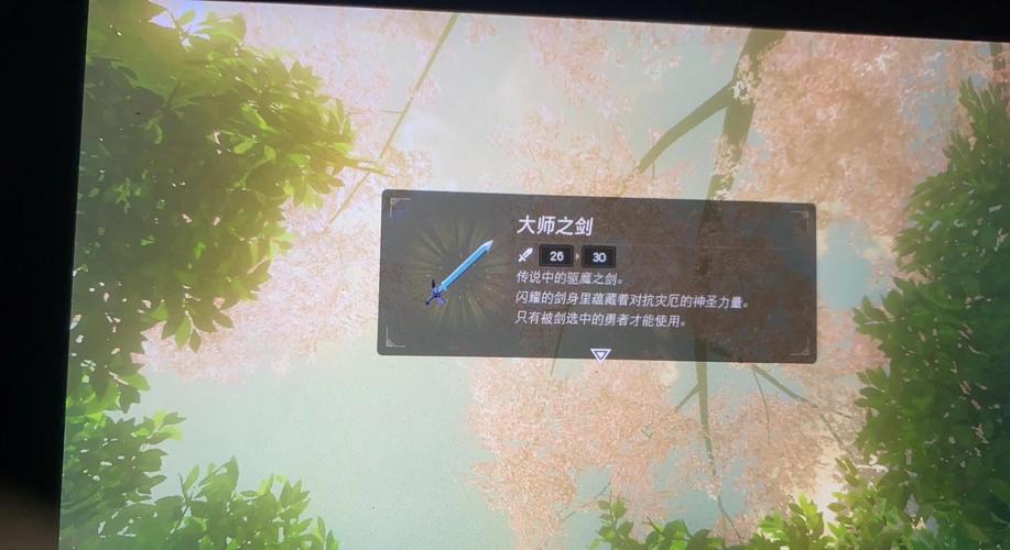 塞尔达msg是什么意思